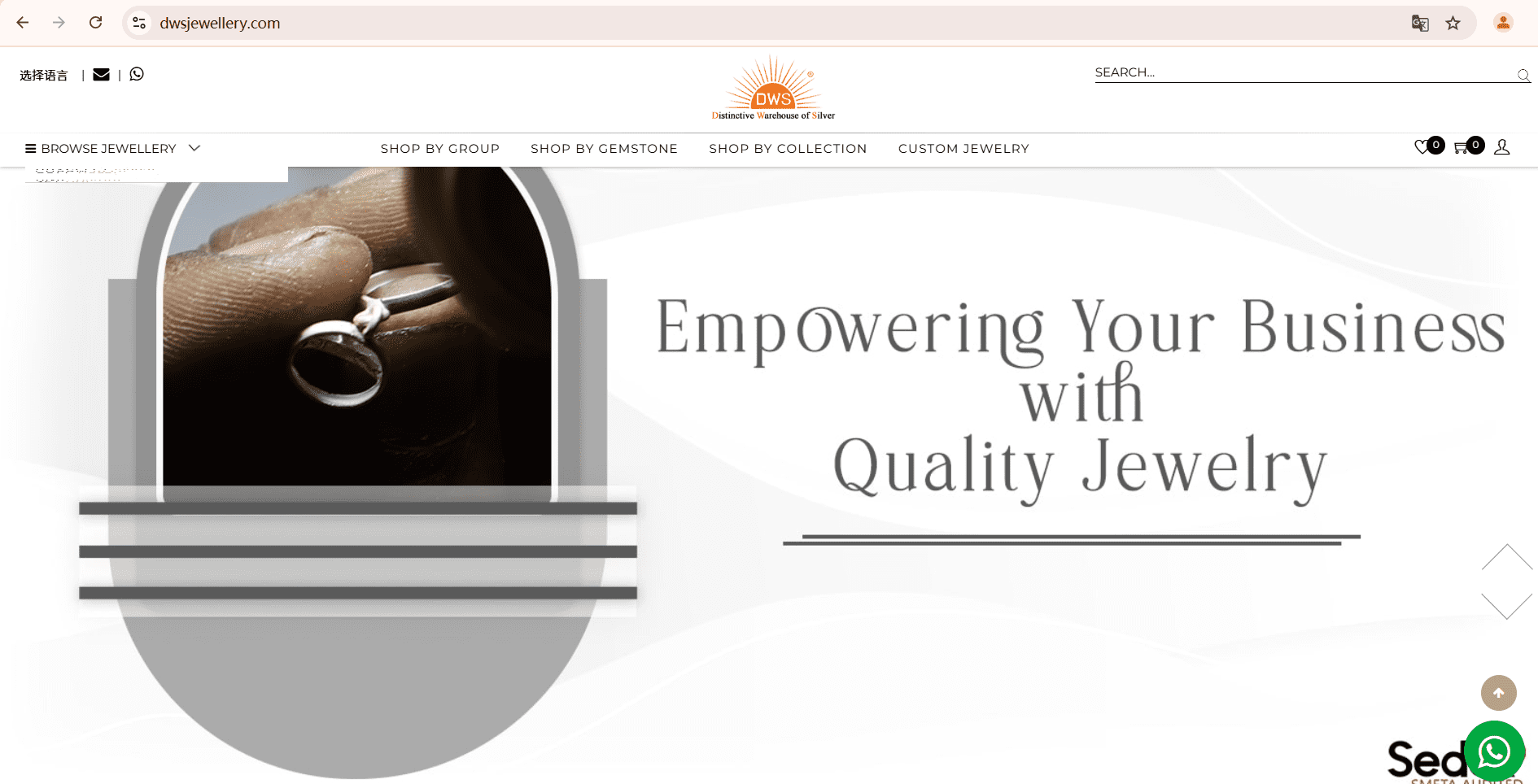 Screenshot of DWS Jewellery’s official website, a leading private label jewelry manufacturer specializing in silver and gemstone jewelry for B2B clients.