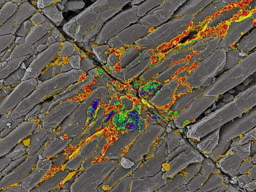 Microscopic View of Stainless Steel Grain Boundaries & Elemental Distribution