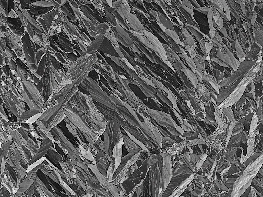 Stainless Steel Microstructure Under EBSD Imaging